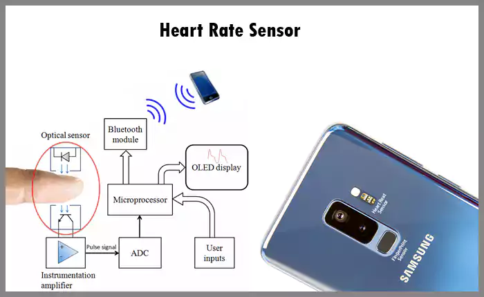 Heart Rate Sensor