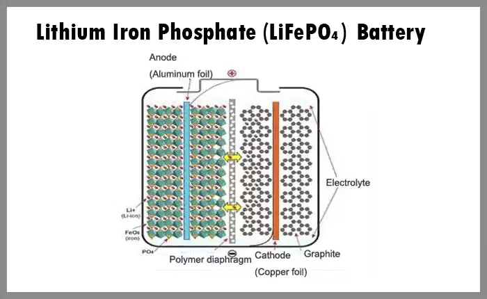 Lithium Iron Phosphate (LiFePO₄) Battery